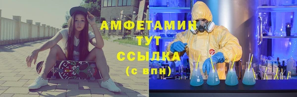 молекула духа Алзамай