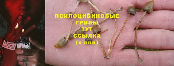 молекула духа Алзамай