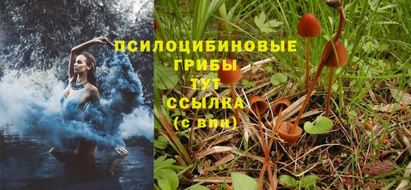 гидропоника Алексеевка