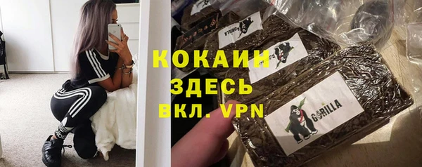 индика Абаза