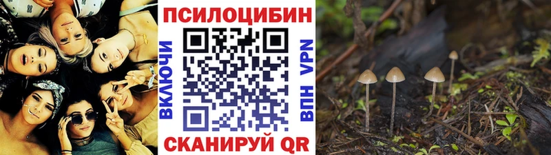 Галлюциногенные грибы MAGIC MUSHROOMS  Сухиничи 